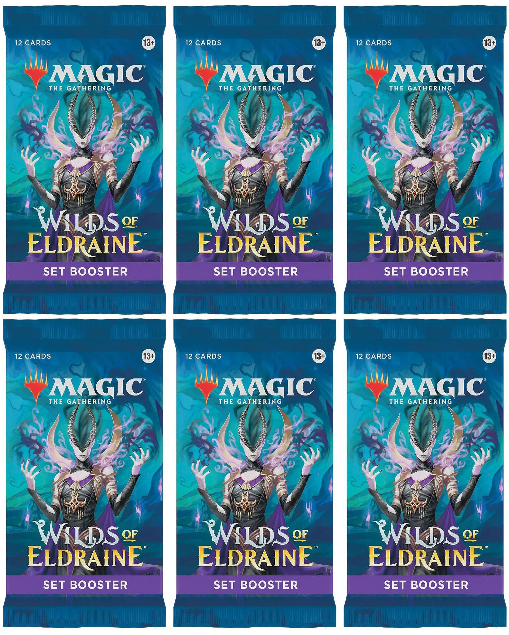 6 Packs MTG Set Booster Pack Lot MTG Wilds of Eldraine