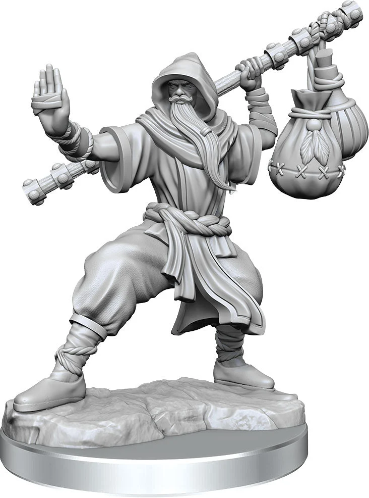 D&D Frameworks Human Monk Male