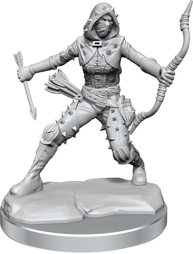 D&D Frameworks Human Rogue Female