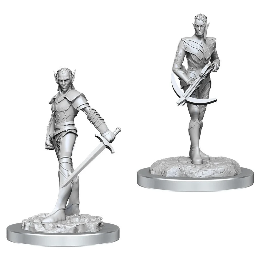 D&D Nolzur's Miniatures Drow Fighters