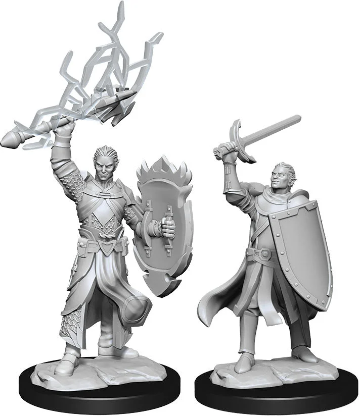 D&D Nolzur's Miniatures: Half-Elf Paladin Male