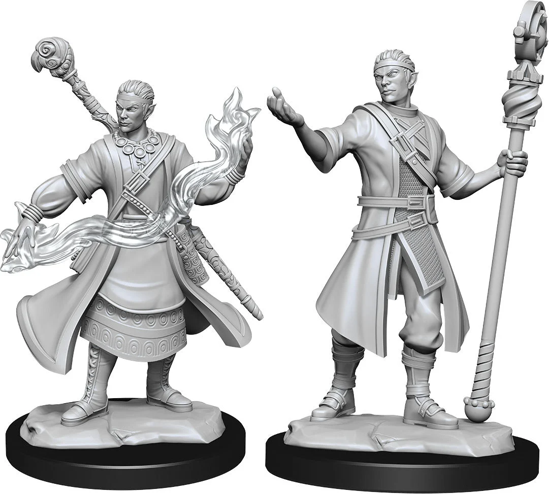 D&D Nolzur's Miniatures: Half-Elf Wizard Male