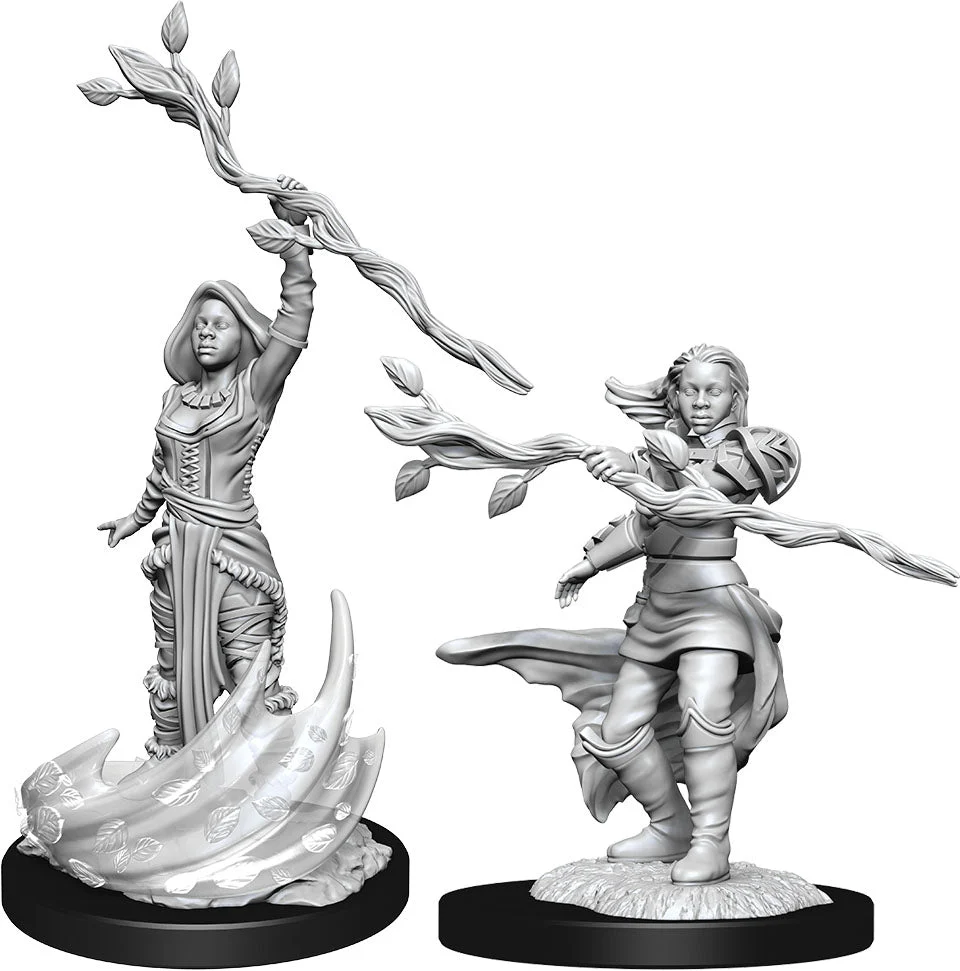 D&D Nolzur's Miniatures: Human Druid Female