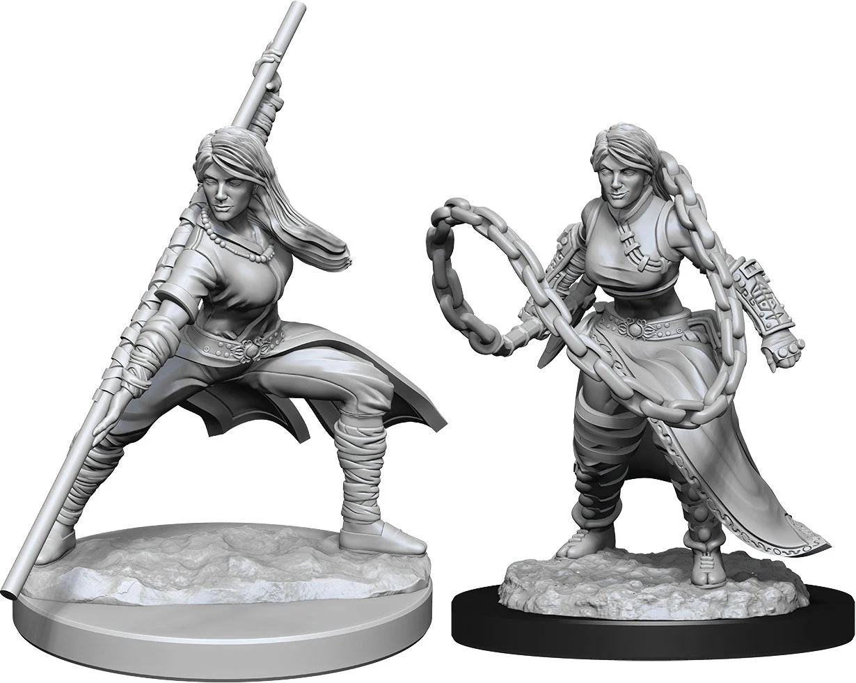 D&D Nolzur's Miniatures: Human Monk Female