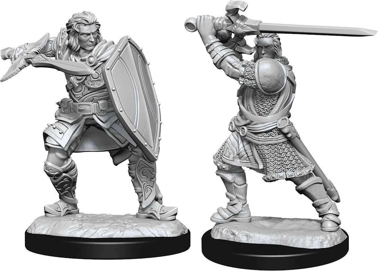 D&D Nolzur's Miniatures: Human Paladin Male