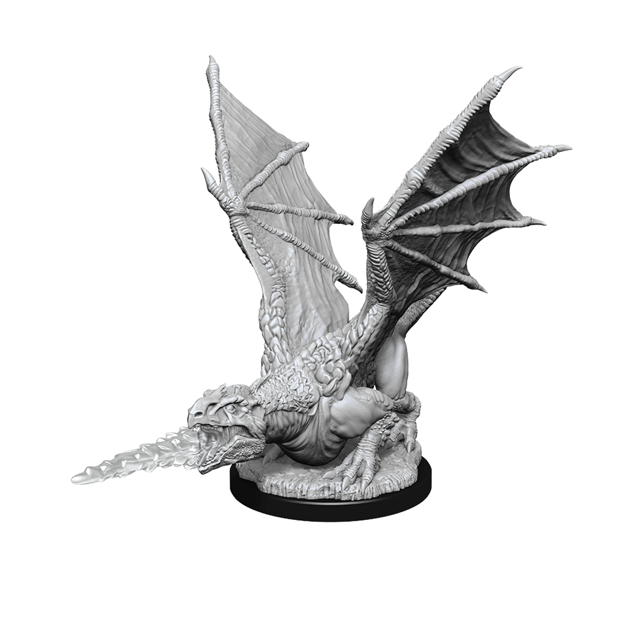 D&D Nolzur’s Miniatures: White Dragon Wyrmling