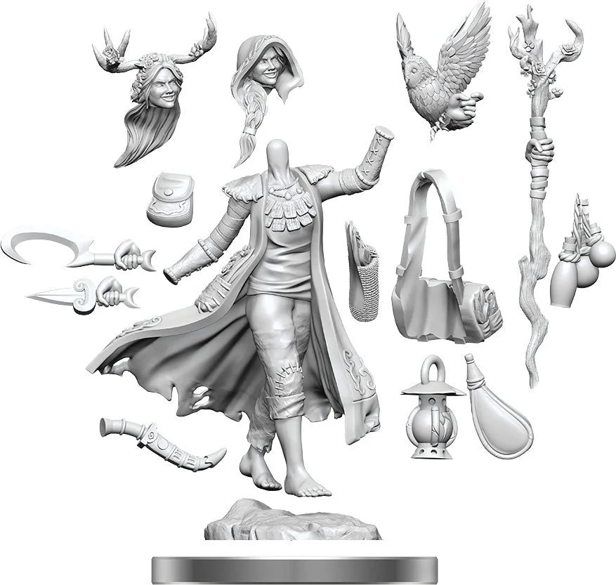 D&D Frameworks Human Druid Female