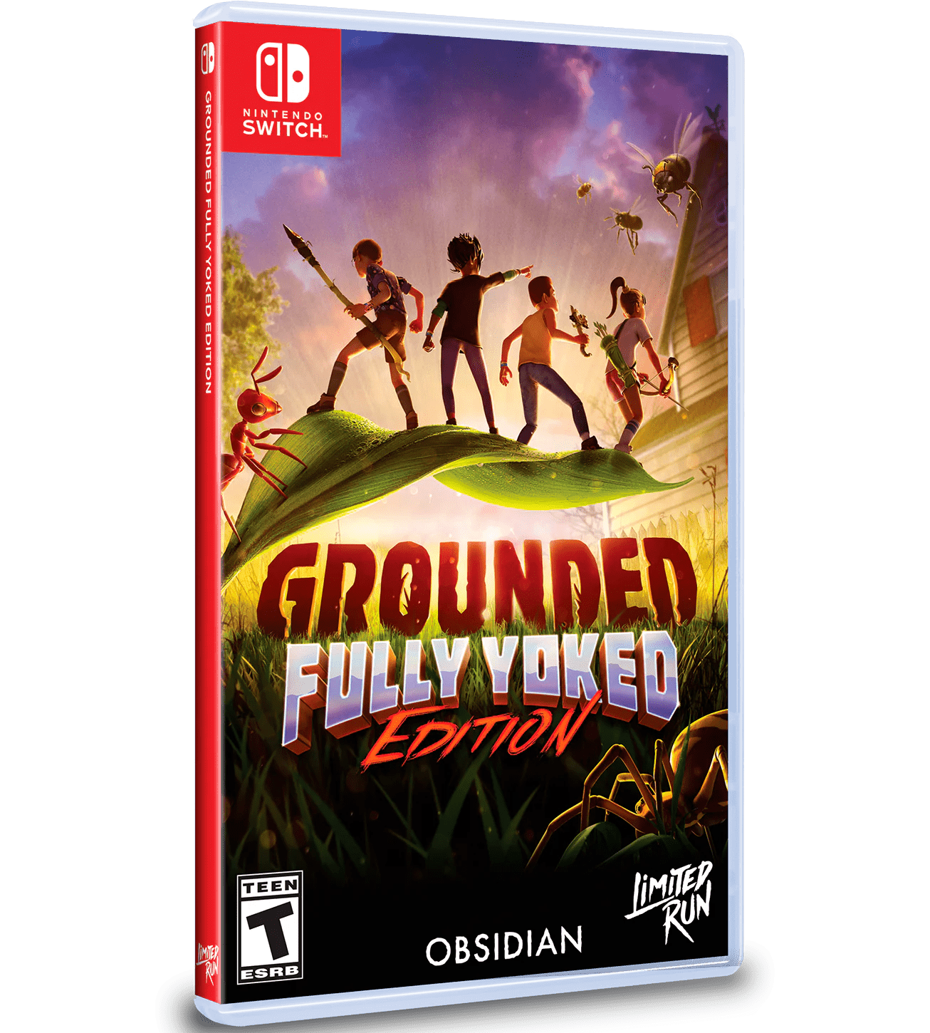 Grounded Fully Yoked Edition (SWI)