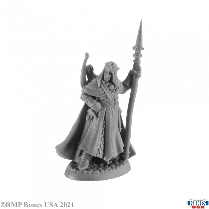 Reaper Bones: Elanter, The Lost Prince 30006